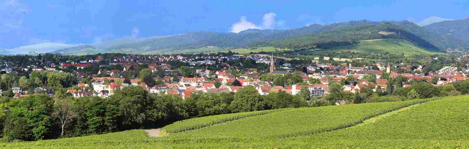 Herzlich willkommen bei Haus & Grund Markgräflerland 06.2025