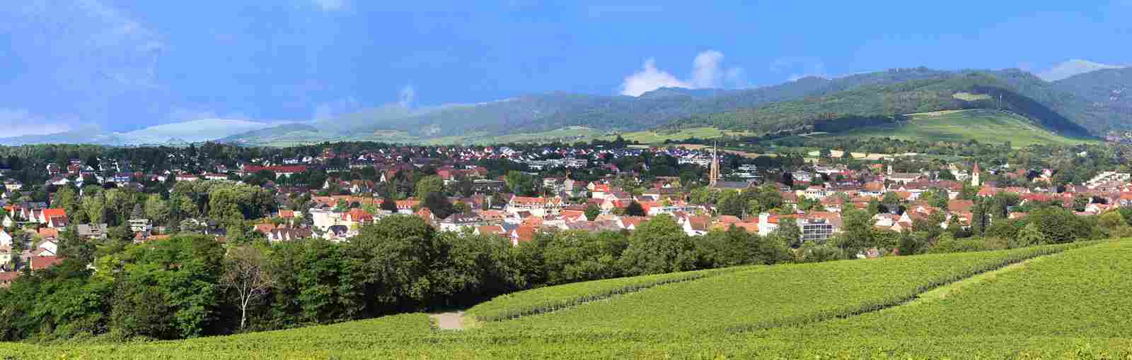 Herzlich willkommen bei Haus & Grund Markgräflerland 09.2026